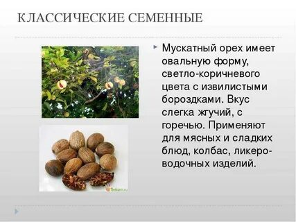 Через сколько мускатный орех