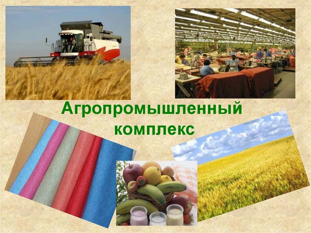 Обобщение по теме агропромышленный комплекс. Агропромышленный комплекс сельскохозяйство отрасли. агропромышленный комплекс.легкая и пищевая промышленность. сельское хозяйство и пищевая промышленность. промышленные и сельскохозяйственные предприятия.