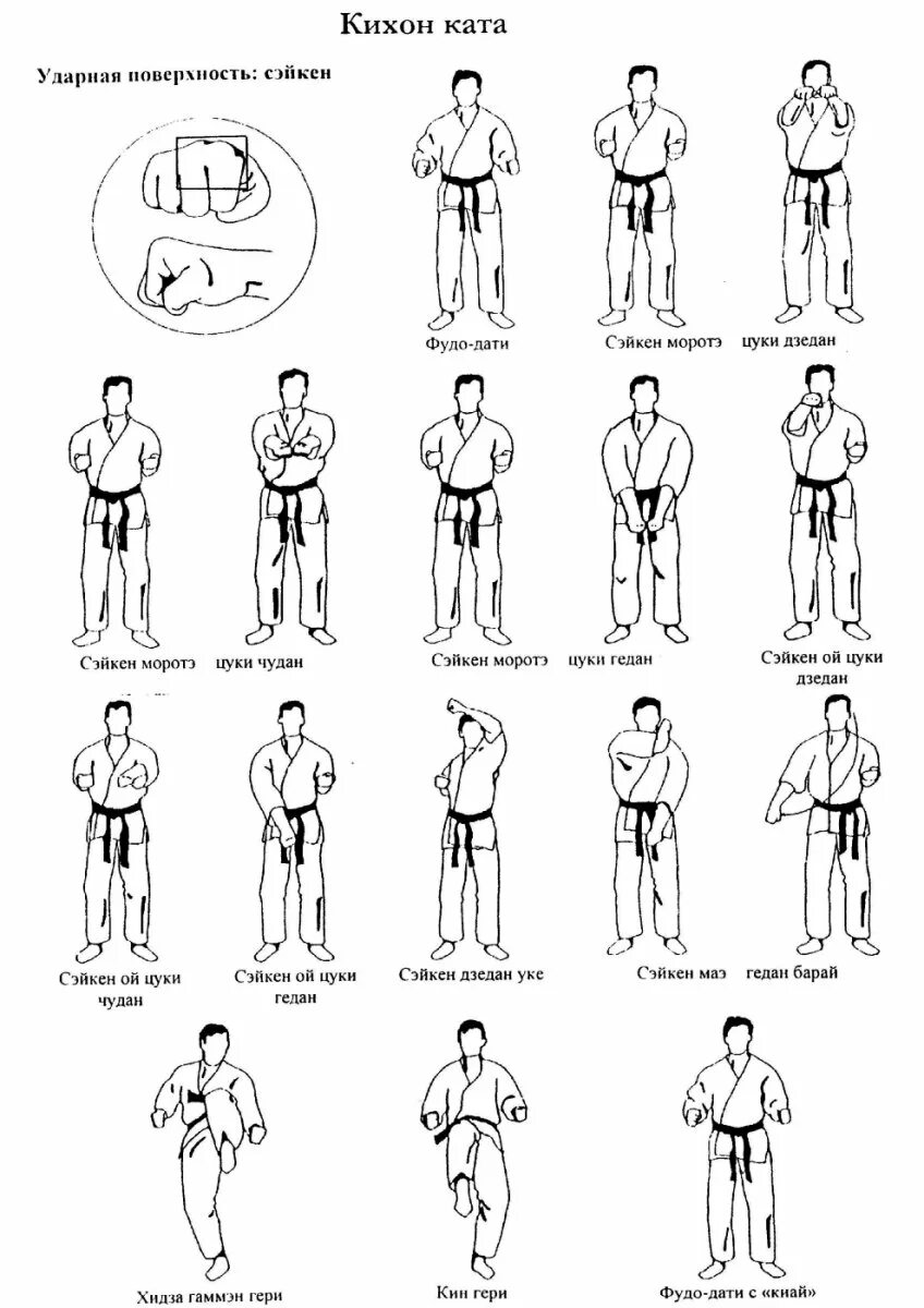 Дати. Название ударов в каратэ 10 кю. Стойки на 10 кю каратэ Кекусинкай. Названия ударов в каратэ киокушинкай 10 кю. Ката киокушинкай каратэ 10 кю.