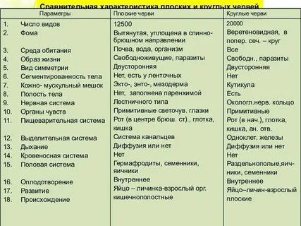 Характеристика червей плоские круглые кольчатые