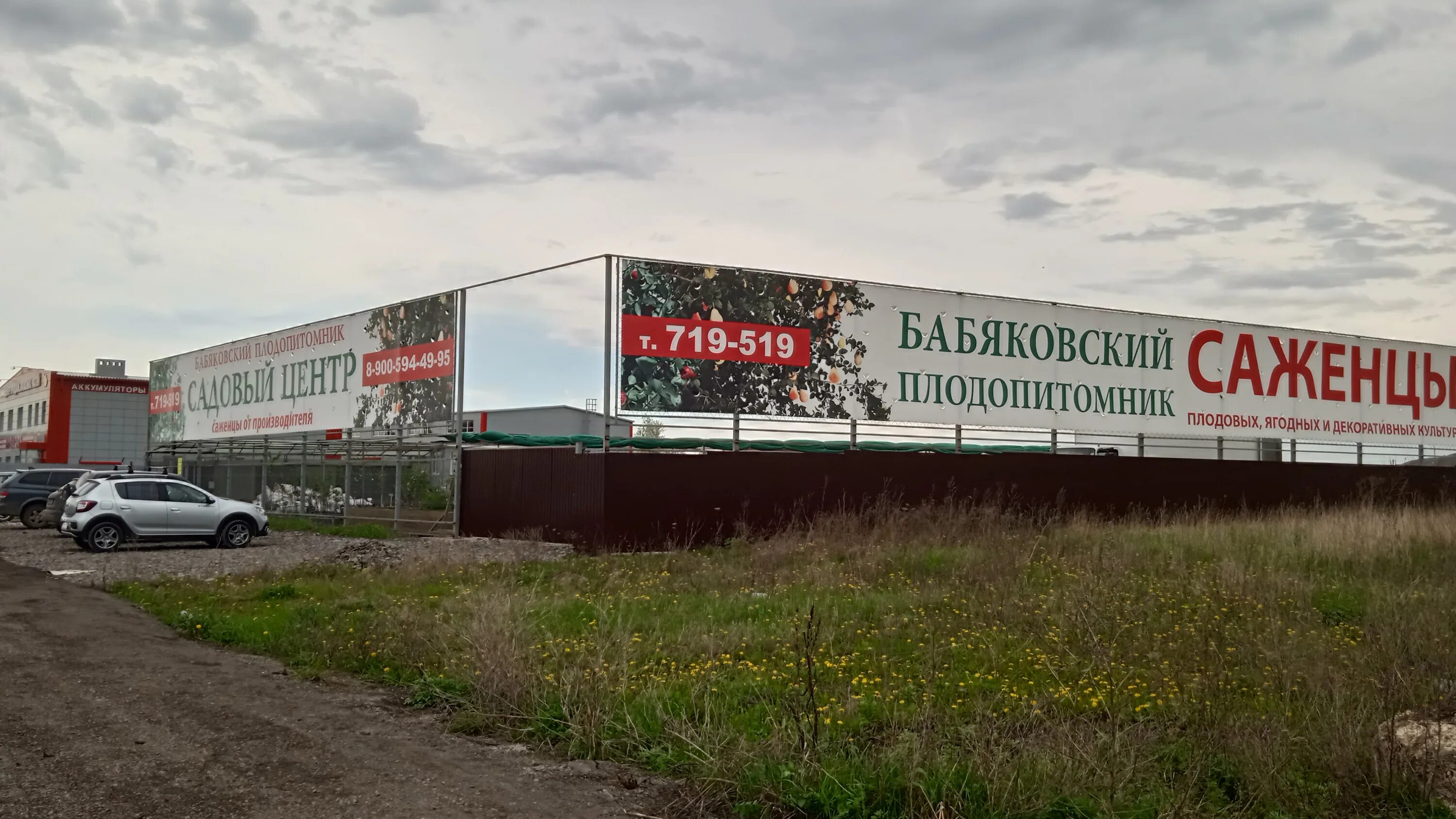 Саженцы воронеж бабяковский плодопитомник. Воронеж улица Машиностроителей 4 Бабяковский Плодопитомник. Плодопитомник Бабяково. Бабяковский питомник. Липецк питомник растений.