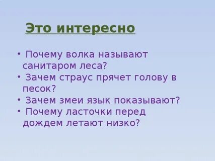 Почему волка называют санитаром