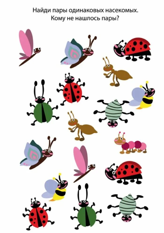 Занятие по развитию речи тема насекомые. Насекомые задания для детей. Насекомые задания для дошкольников. Развивающее занятие насекомые. Насекомые картинки для детей.