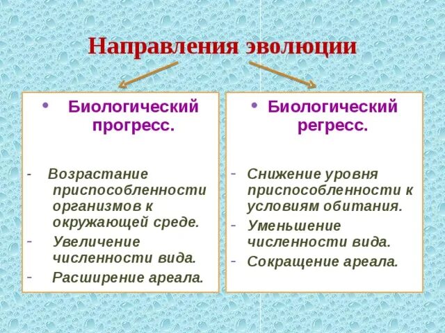 Направления развития прогресс. Направления эволюции. Основные направления эволюции. Направления биологической эволюции. Направления эволюции регресс.