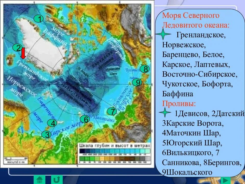 Заливы морей северного ледовитого океана