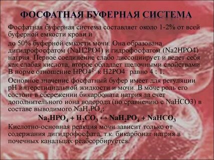 Буферная емкость фосфатной буферной системы