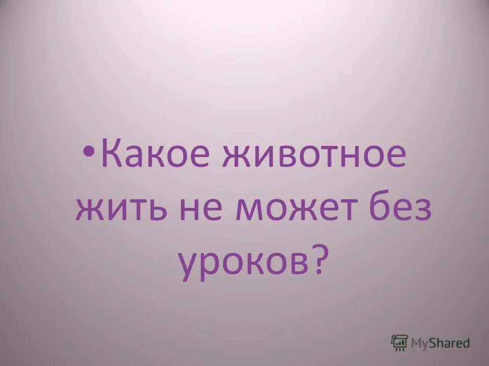 Девиз на тему вода. Загадки на смекалку с ответами сложные. Какое животное жить не может без уроков. Загадки на логику и сообразительность с ответами. Фразеологизмы с названием животных и птиц.