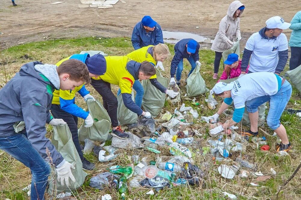 Экология в первой группе. Экологическое волонтерство. Помощь природе.