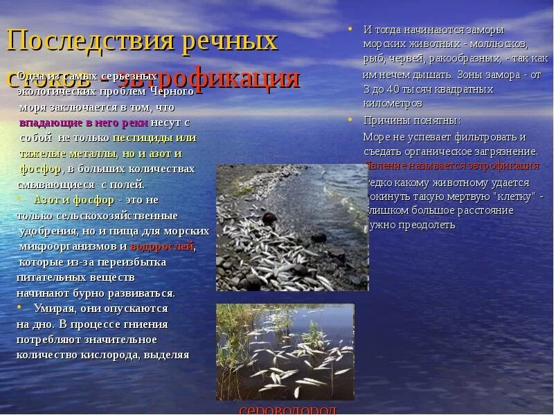 Экологические проблемы морей. Экологические проблемы черного. Экологические проблемы черного моря. Экологические проблемы Черноморского побережья.