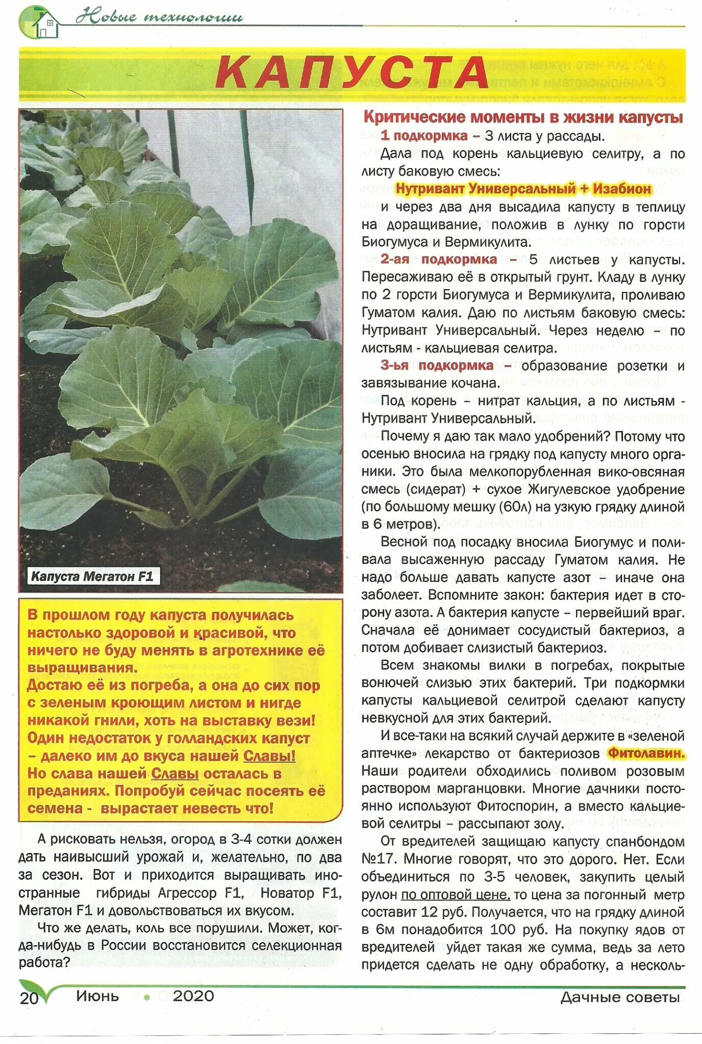 бархатцы тайшан оранжевые семена алтая. виктория карелина семена алтая.