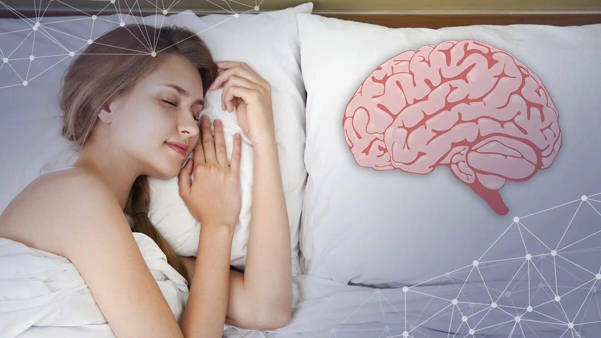 Sleeping brains. Спящий человек.