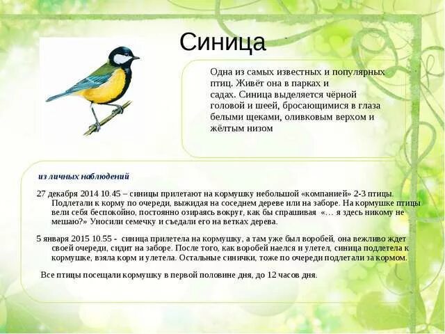 как изменилось поведение зимующих птиц весной. продолжайте наблюдение за птицами вашего города села. изменение поведения зимующих птиц весной. проиллюстрируй рисунком по результатам наблюдений. поведение дятла.