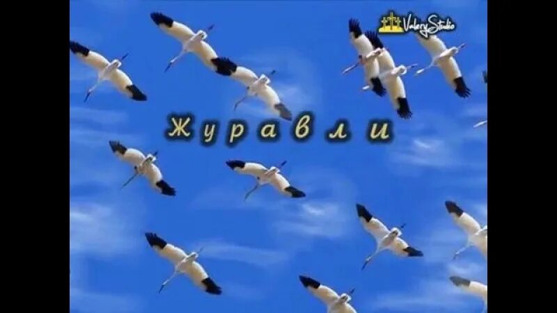 Журавли песня. Журавли улетают на Юг картинки. Далеко-далеко Журавли улетели. Журавли Русавуки текст.