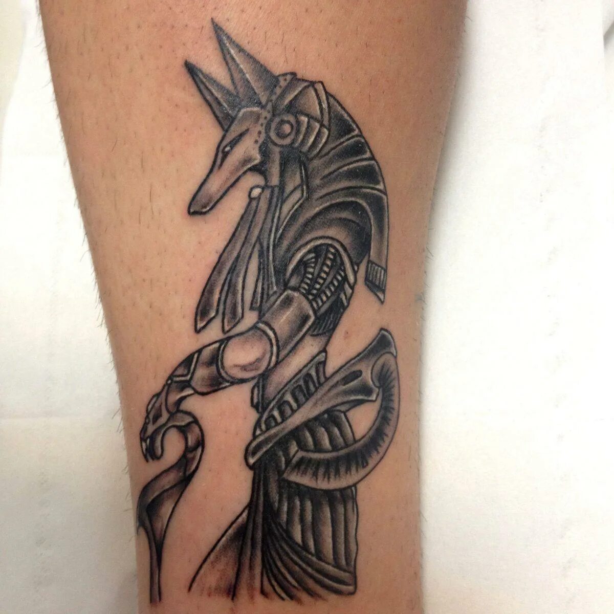 Тату анубис демон. Анубис бог тату. Анубис тату дотворк. Анубис на предплечье. Анубис бог тату.
