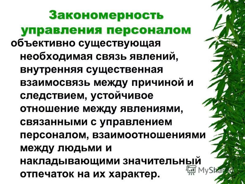 Необходимое существенное отношение между явлениями