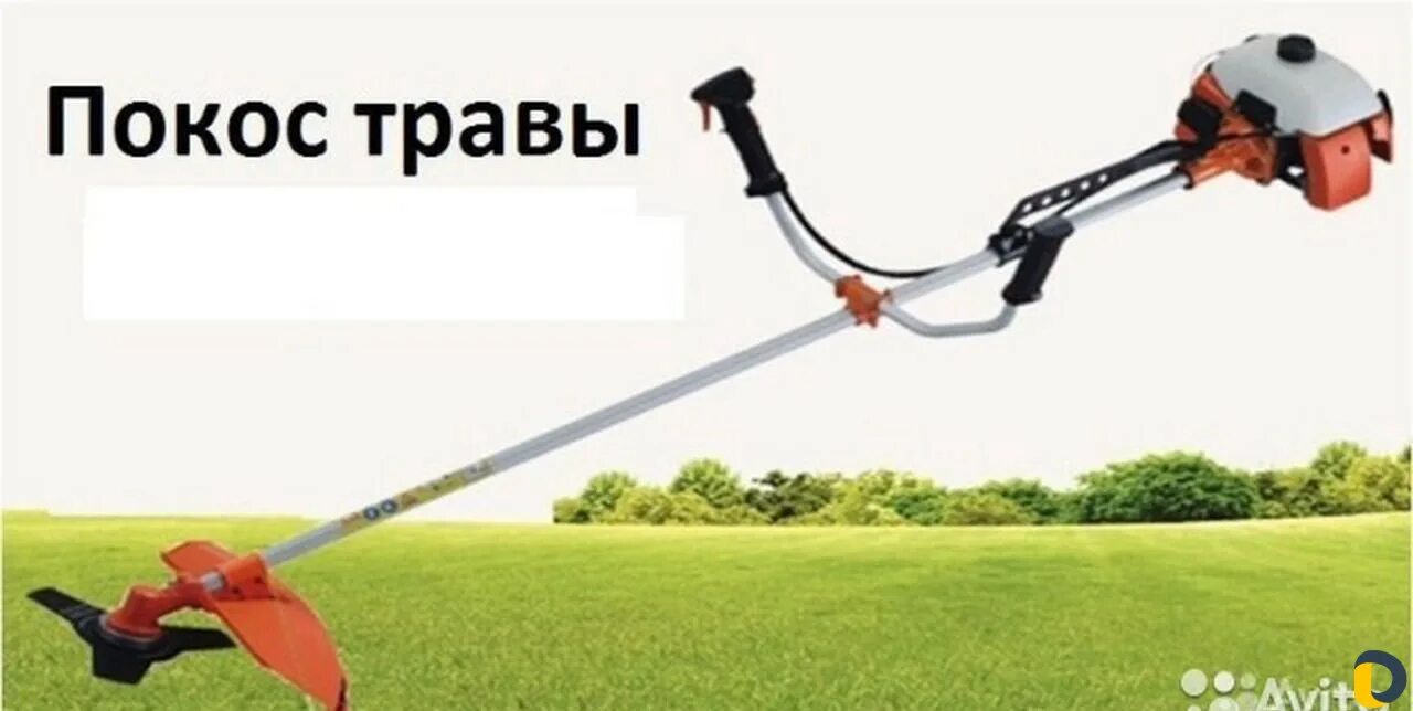 Покос травы. Скос травы. Кошение травы триммером. Объявление покос травы триммером. Скошу траву триммером.
