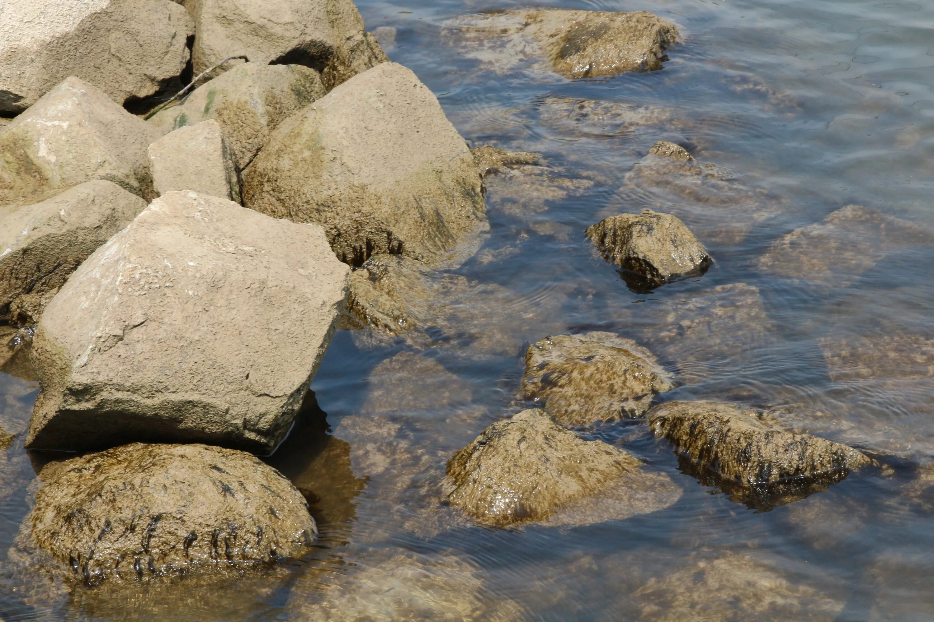 Песни камень и вода. Камень в реке Рейн. Камни в воде. Камни вода река. Каменная вода.