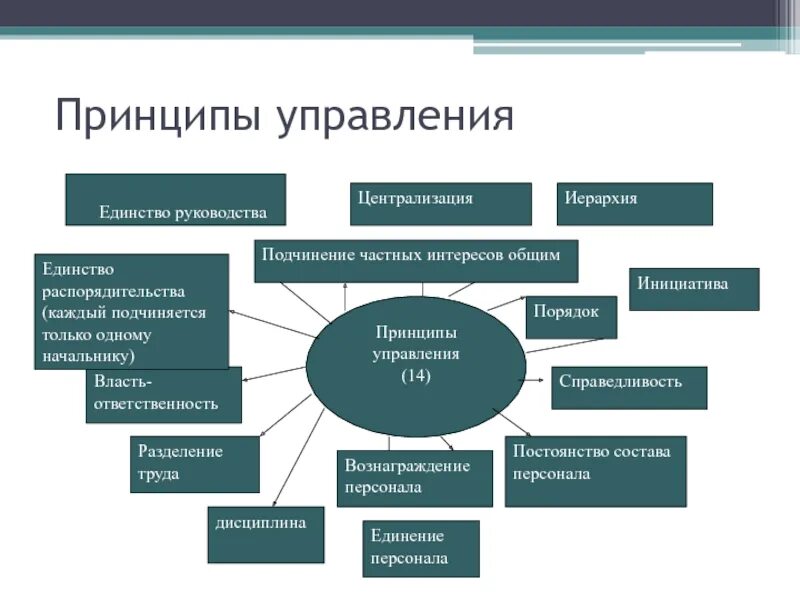 Основные принципы организации менеджмента. Общие принципы управления. общие принципы управления эффективности. принципы управления современным предприятием. принципы организации менеджмента.