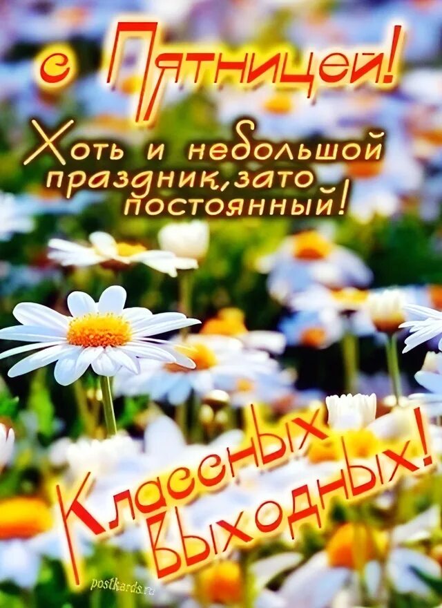 С последним утром июля. С последним июльским утром. доброе последнее утро июля. с добрым последним утром июля. с последним июльским вечером.