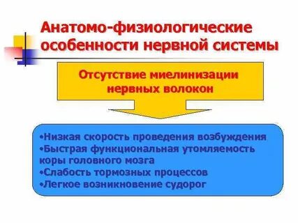 Анатомо физиологические особенности нервной