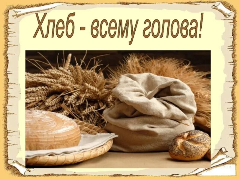 Пшеница. Всемирный день хлеба. Хлеб всему голова фото. Хлеб всему голова фото. Колосья хлеба.