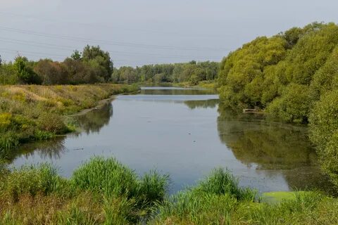 Тульская обл п