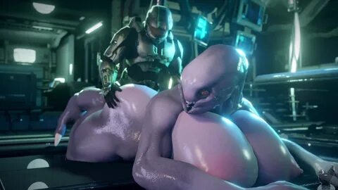 Halo Female Elite Videos - Unleash Your Inner Desires