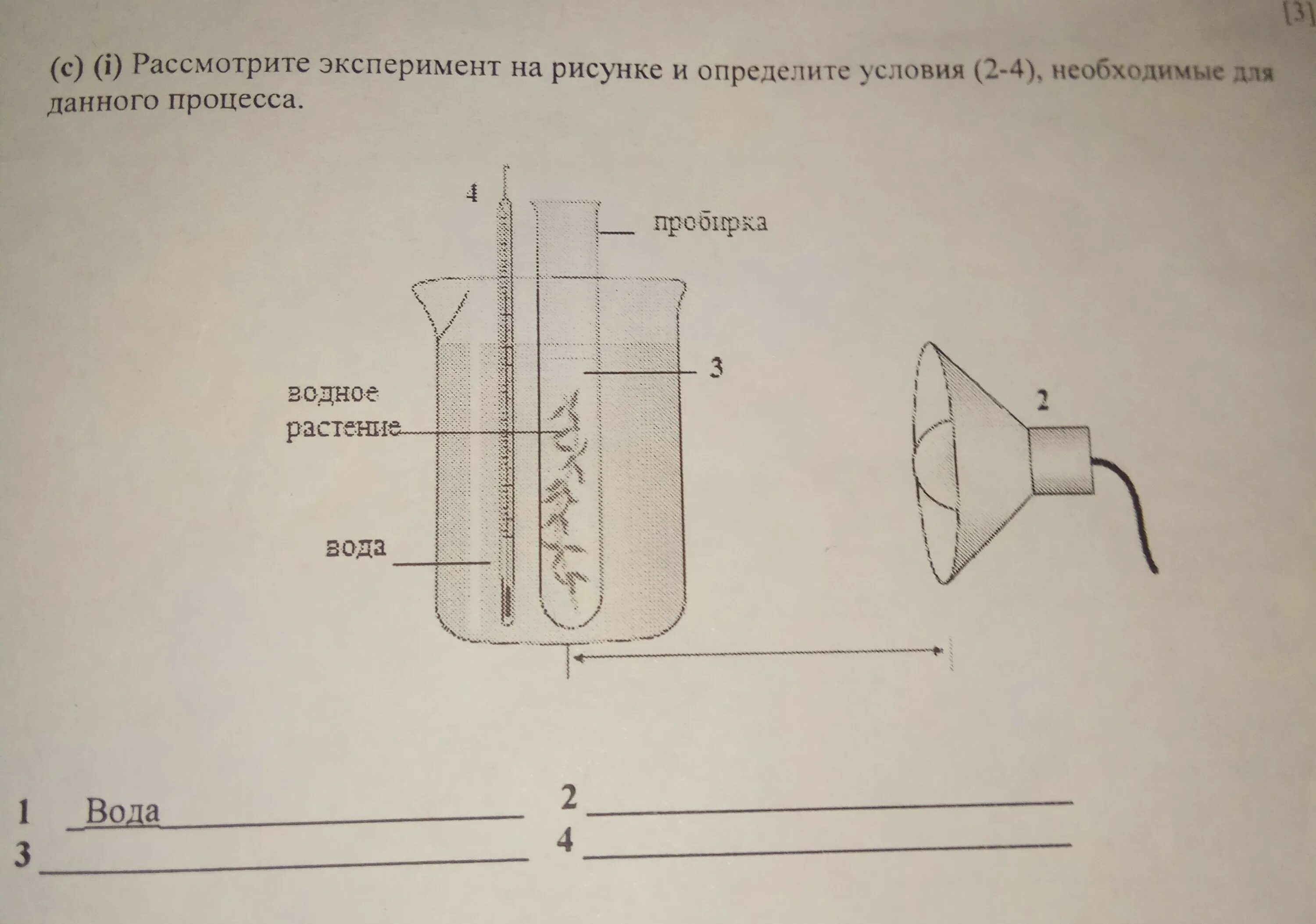 Используя рисунок определите процесс. Рассмотрите эксперимент на рисунке. рассмотрите изображение опыта. рассмотрите рисунок с изображением опыта. (c) (i) рассмотрите эксперимент на рисунке и определите условия (2-.