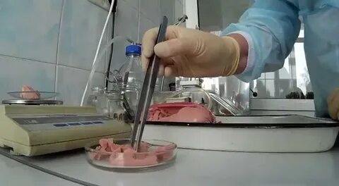 Санитарная оценка мяса