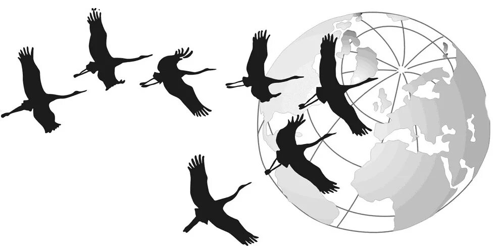 мсоэс цели. миграция населения. международный социально-экологический союз (мсоэс). международный социально-экологический союз (мсоэс). международный социально-экологический сою.