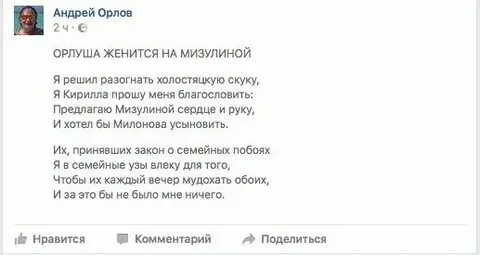 Сын мизулиной женился на сыне фурсенко