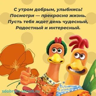 С юмором пожелать доброе утро