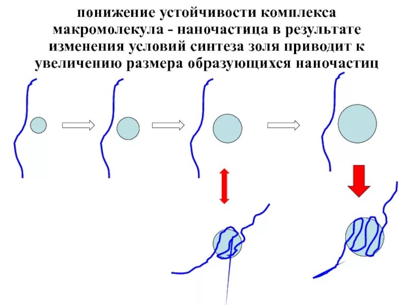 Комплексы макромолекул. Общая схема синтеза макромолекул. Синтез макромолекул. Устойчивый комплекс. Низкая резистентность