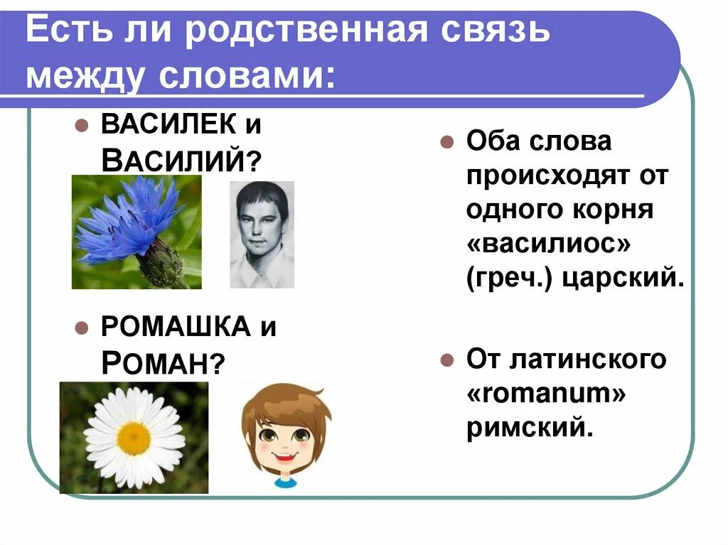 Родственная связь слов. Родственные слова Василек. Родственные слова Васильков. Однокоренные слова к слову васильки. Родственные слова к слову Василек.