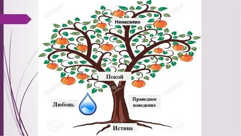 Основа самопознания