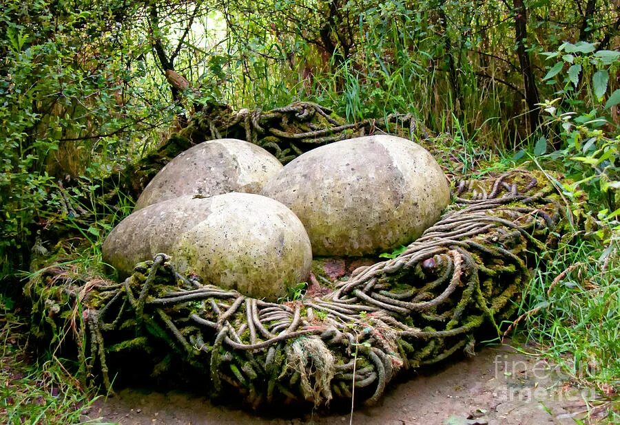 Giants nest. Giants nest