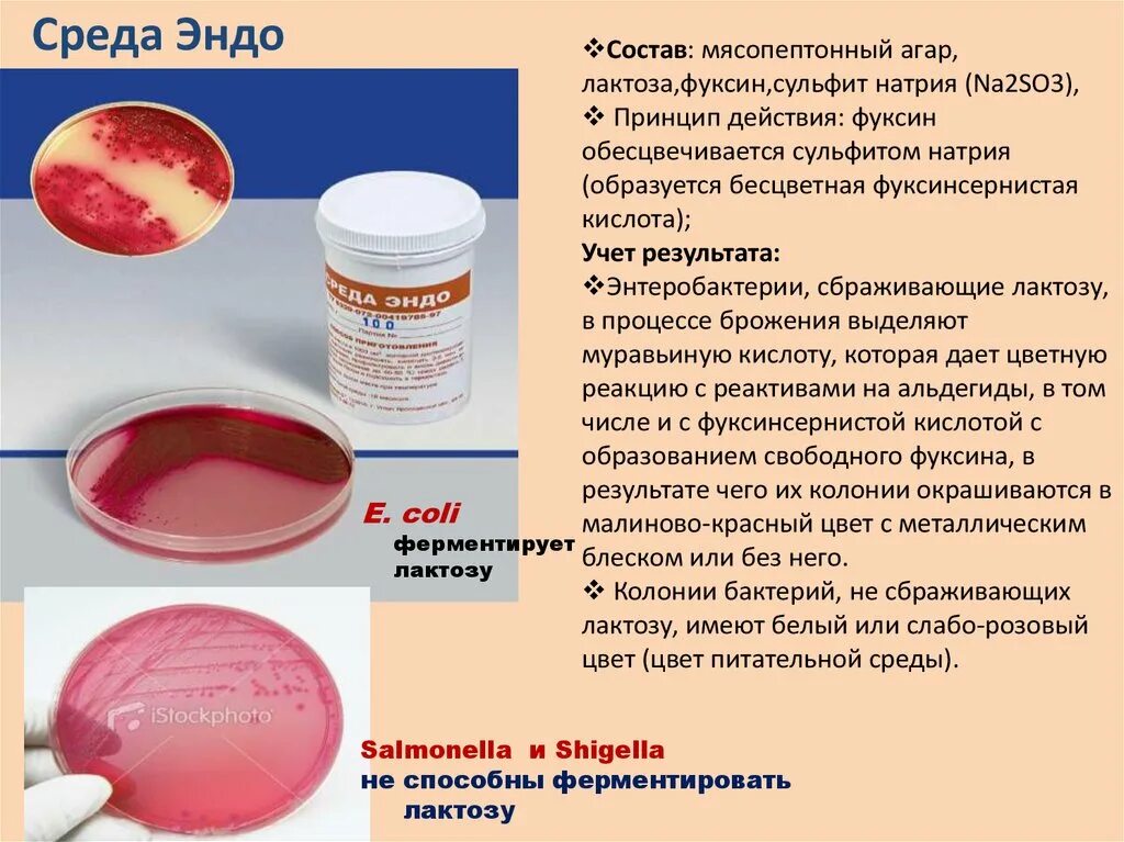 Среда Эндо и Плоскирева. Питательная среда Эндо. Агар Эндо-ГРМ питательная среда для выделения энтеробактерий сухая. Среда Эндо микробиология.