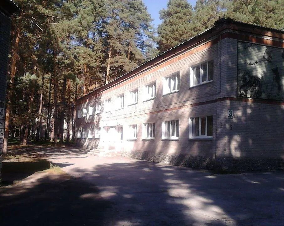 Лагерь Дубинина Бердск. Лагерь имени Володи Дубинина Новосибирск. Лагерь Чудолесье Бердск. Бердск лагерь Дубинина Чудолесье. Дол дубинина