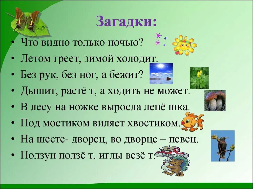 2 вопроса в мире животных
