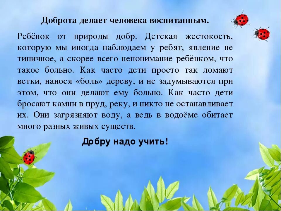 Будь добрее к природе. Воспитываем в детях доброту. Беседа с детьми о добре. Воспитывайте в детях доброту. Беседа с детьми о природе.