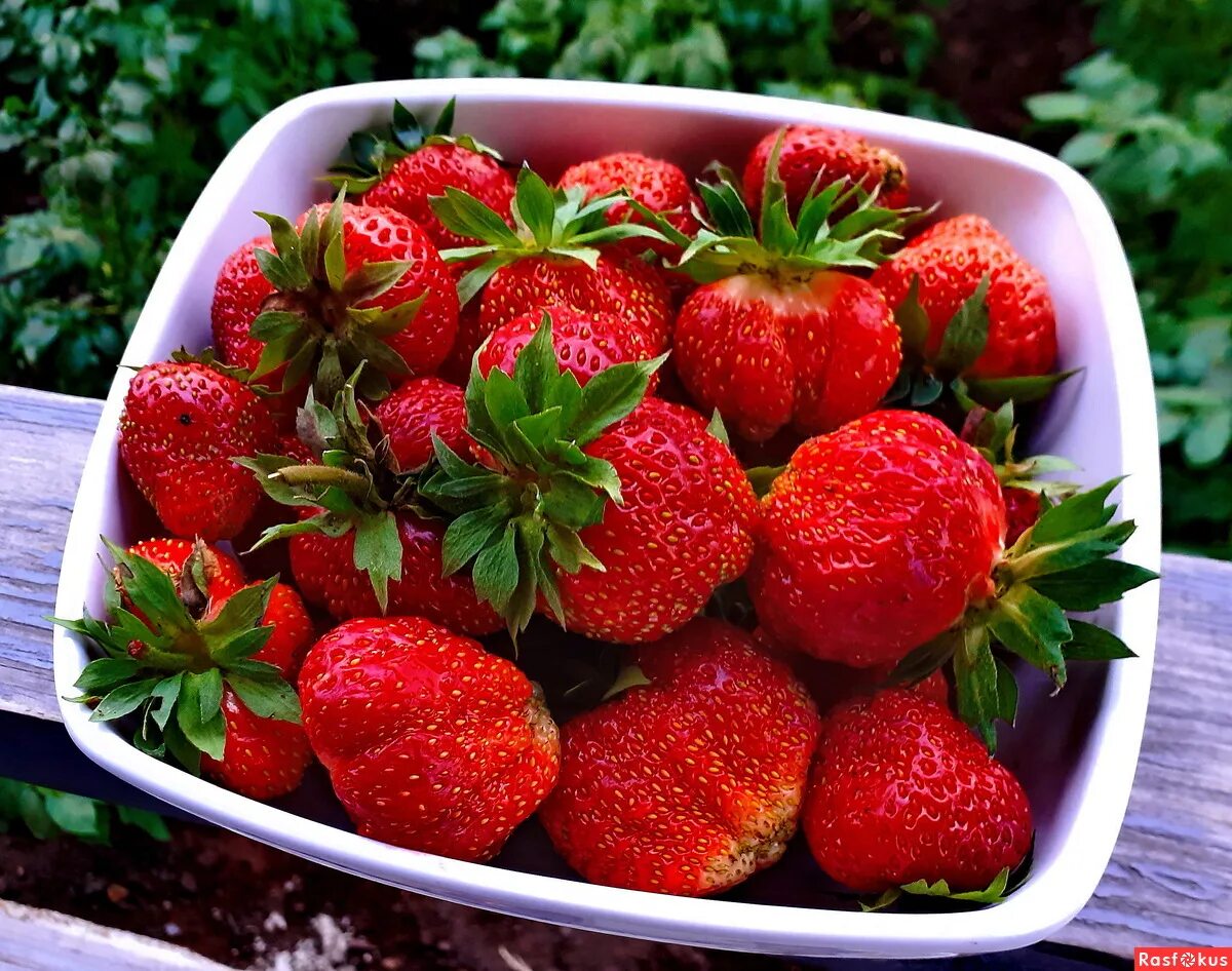 вкус лета фото. вкус лета 2024. вкус лета. вкус лета 2024. фрутоняня соки вкусы.