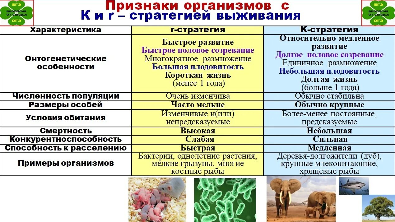 Информация о признаках организма. Экология популяций это демэкология. Стратегии выживания организмов. Популяция презентация. Популяции экология для ЕГЭ.