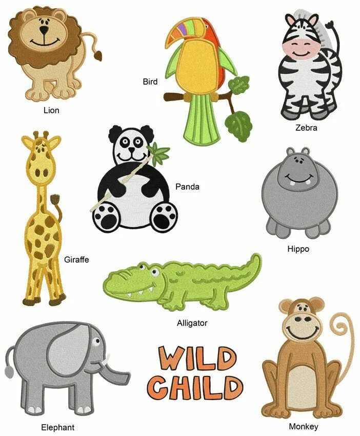 Kids box wild animals