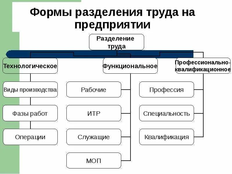 Схема разделения труда на предприятии. Функциональная форма разделения труда. Форма схемы разделения труда. Формы технологического разделения труда. Технологическая форма производства