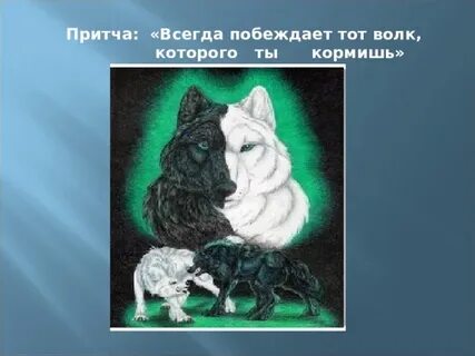 Какого волка ты кормишь