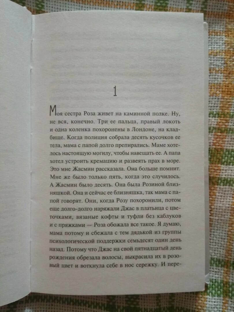 Моя сестра живет на каминной. Моя сестра живёт на каминной полке Аннабель питчер книга. Книги Аннабель питчер. Моя сестра живет на каминной полке иллюстрация.