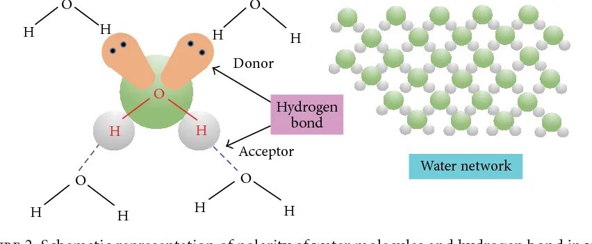 Donor-acceptor bonding. Donor-acceptor Covalent Bond. Energy of hydrogen bonding in Water. Hydrogen Bonds in Water molecules.