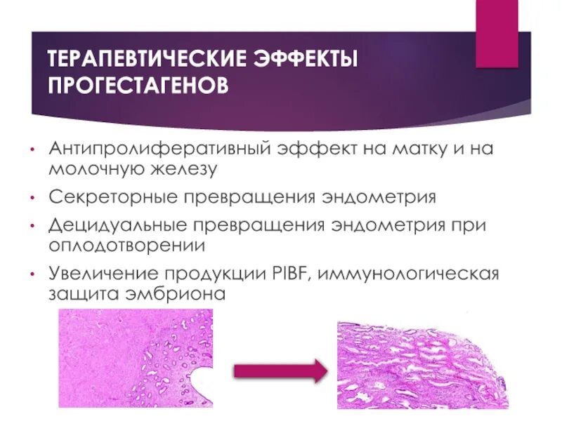 Антипролиферативное действие это. Антипролиферативное действие что это. Антипролиферативное действие интерферонов. Антипролиферативный эффект глюкокортикоидов. Антипролиферативное действие это.