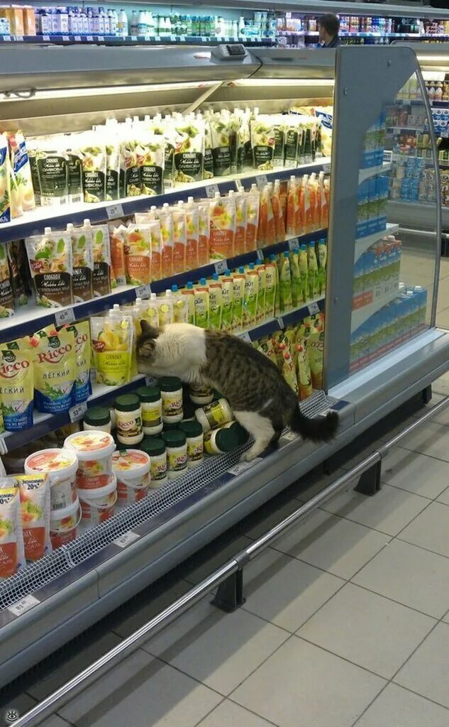 смешные продукты в магазине. смешные магазины. смешные продукты. смешные товары из магазина. странные ценники в магазинах.