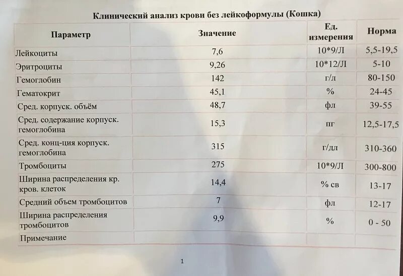 Результаты анализа крови гемоглобин. Анализы гемоглобин норма. Гемоглобин в клиническом анализе. Клинический анализ крови гемоглобин норма. Гемоглобин у кошек норма.